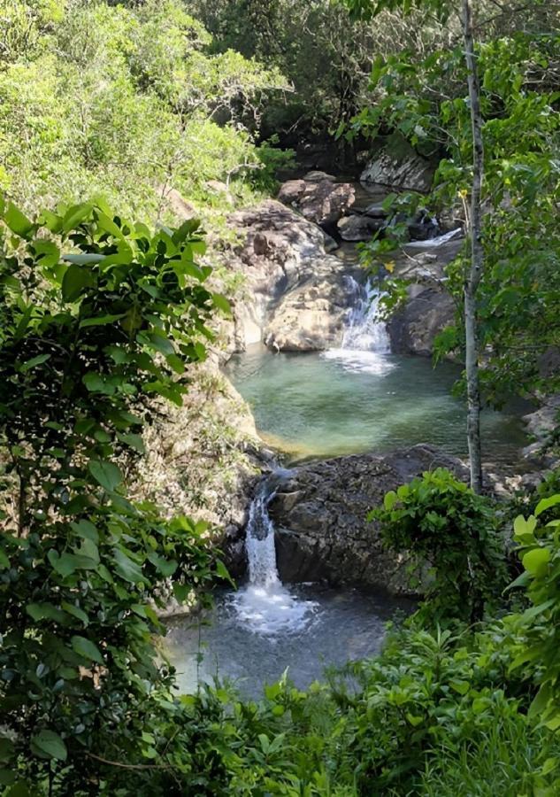 Evasion Bungalow Tropical Spa Sarramea Ngoại thất bức ảnh