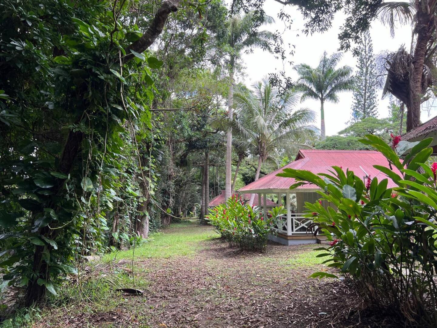 Evasion Bungalow Tropical Spa Sarramea Ngoại thất bức ảnh